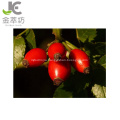 vitamin C/vc 45% rose hip extract powder